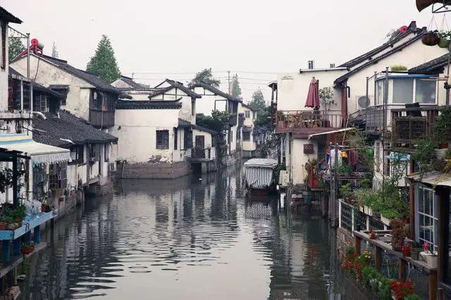 为什么补硒和蒿坪毛尖比较好？还有其他更好的茶叶吗？游戏画面